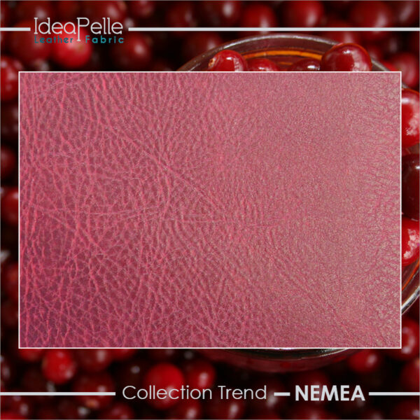 Nemea